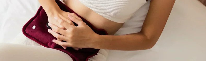 Gut Health and Menopause: Key Research Findings